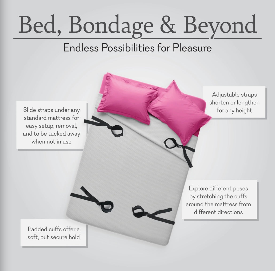 Bed, Bondage, & Beyond