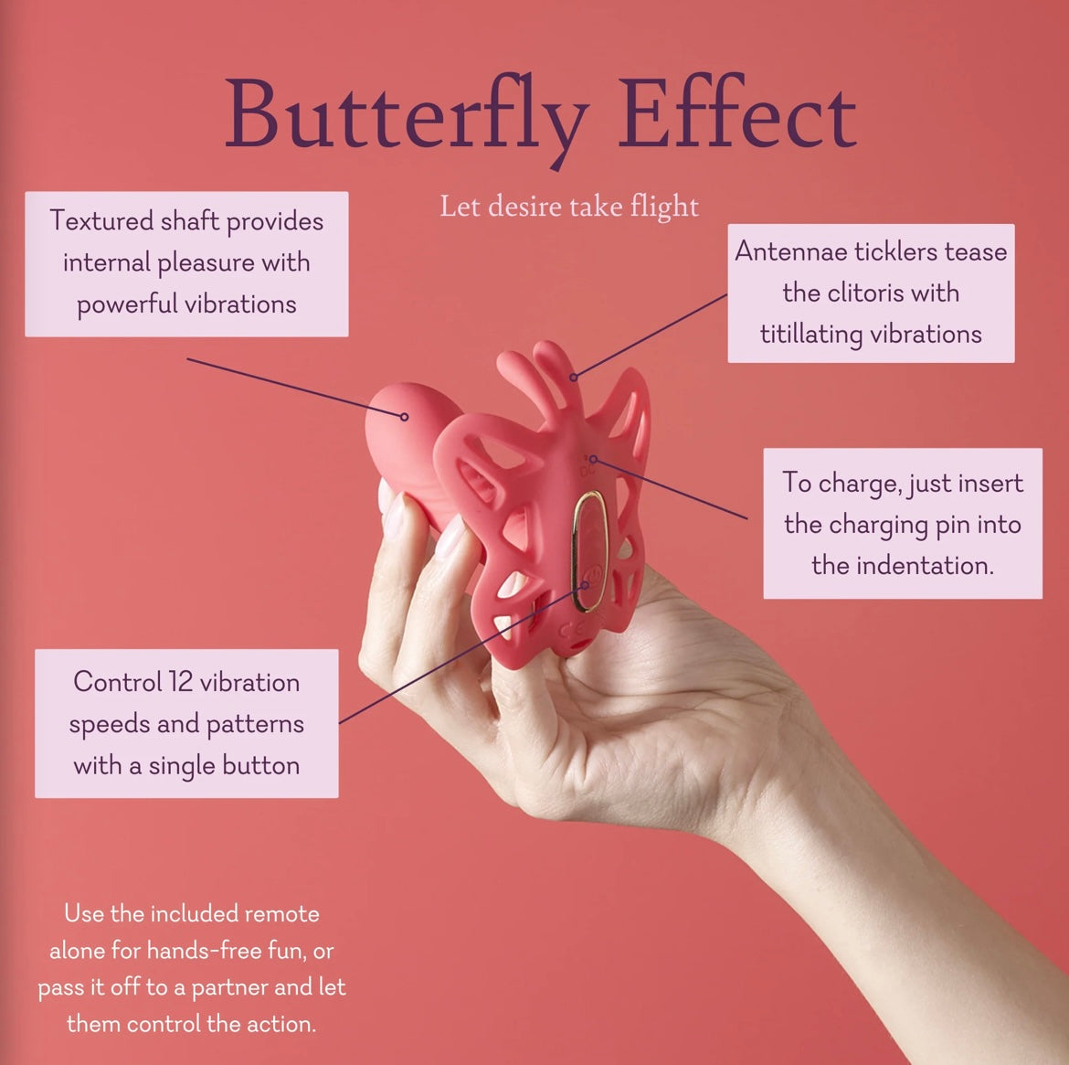 Butterfly Effect