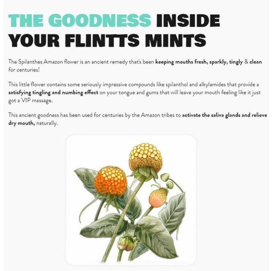 Flintts Mints